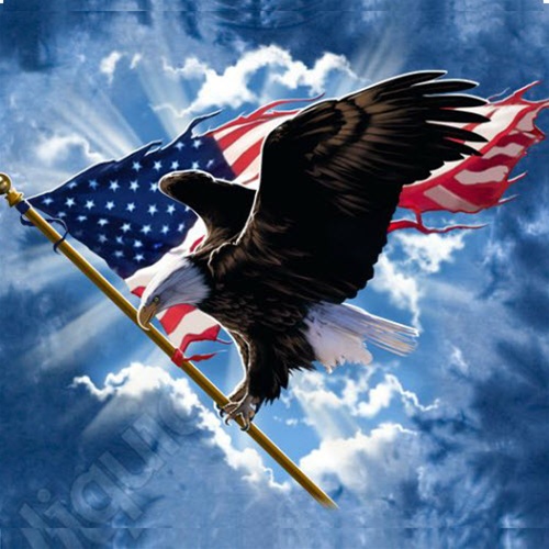 Flag Eagle 2