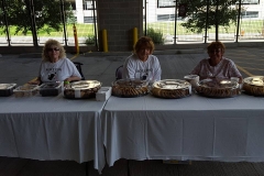 VA Picnic 2016.61